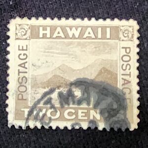Hawaii #75  Postage Stamp Rare Cancellation #lot2